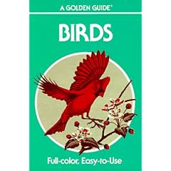 Birds (Golden guides)