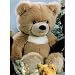 Plüti 927-080-348 - Bär, sand - 80 cm