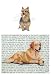 Australian Terrier Glass Cutting Board