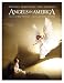 Produkt-Bild: Angels in America