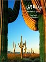 Saguaro: The Desert Giant