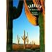 Saguaro: The Desert Giant