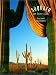 Saguaro: The Desert Giant