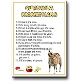 Chihuahua Property Laws Fridge Magnet No 1 Funny