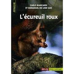 L'�cureuil roux