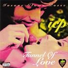 Click here to buy Tunnel of Love by  Insane Clown Posse .