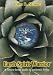 Earth Spirit Warrior: A nature-based guide to authentic living