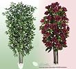 TWO Artificial Trees - 7' Ficus + 6' Magnolia with Real Wood Trunks