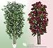 TWO Artificial Trees - 7' Very Full Ficus + 6' Magnolia with Real Wood Trunks