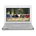 Toshiba Mini NB205-N325WH 10.1-Inch Frost White Netbook - 9 Hours of Battery Life (Windows 7 Starter)