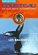 Cousteau : Les Baleines