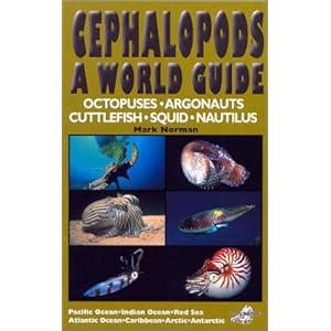 Cephalopods Pictures