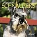 Miniature Schnauzers 2004 Calendar