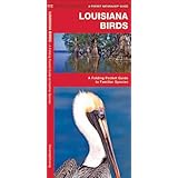 louisiana birds a folding pocket guide to familiar species pocket naturalist guide series