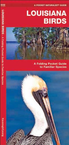 Louisiana Birds: A Folding Pocket Guide to Familiar Species (Pocket Naturalist Guide Series)
