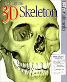 The Ultimate 3-D Skeleton