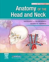 Illustrated Anatomy of the Head and Neck