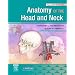 Illustrated Anatomy of the Head and Neck