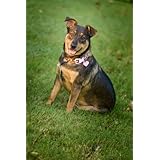 SADIE MAE BAIRD...The Power