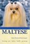 Maltese