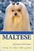   - Maltese