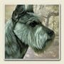 AbsorbaStone Coaster set~ Schnauzer ~4 Tile Drink Coasters ~ code 841C