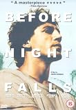 Before Night Falls - Dvd [Import anglais]