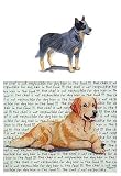 Australian Cattle Dog Glass Cutting Board