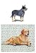 Australian Cattle Dog Glass Cutting Board