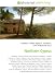 Northern Cyprus: Northern Cyprus,Cypriot intercommunal violence,Turkish invasion of Cyprus,Cyprus under the Ottoman Empire,Cyprus dispute,Foreign relations ... Northern Cyprus,Education in Northern Cyprus