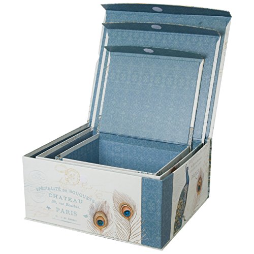 Decorative Storage Organizer boxes with Sealable Lids (Set of