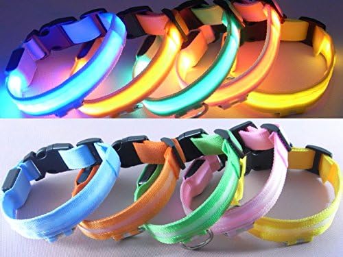 LED Light Up Safety Collar- Gift Silk Wrapping- Length:52-60cm. Width: 2.5cm