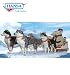 HANSA - Polar Bear Sleigh