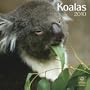 Koalas 2010 Square Wall (Multilingual Edition)