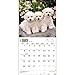 Bichon Frise Puppies 2015 Wall Calendar