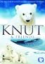 Knut & Friends