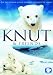 Knut & Friends