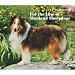   - For the Love of Shetland Sheepdogs 2009 Deluxe Wall Calendar