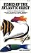 Books : Fishes of the Atlantic Coast: Canada to Brazil, Including the Gulf of Mexico, Florida, Bermuda, the Bahamas, and the Caribbean