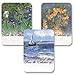 Laurel Vincent Van Gogh - Set of 12 Assorted Adhesive Bookplates