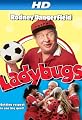 Ladybugs [HD]