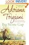 Big Stone Gap (Big Stone Gap Saga 1)
