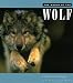 Book The World of the Wolf