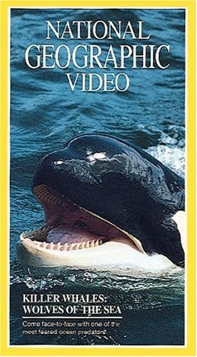 National Geographic's Killer Whales: Wolves of the Sea