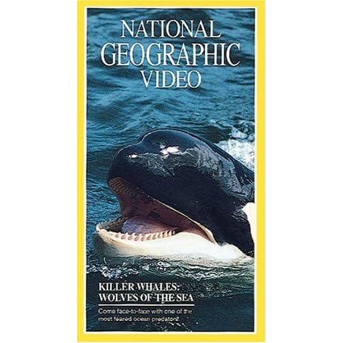 Рысь Идёт По Следу 1994 Торрент Рысь Идёт По Следу 1994 Торрент