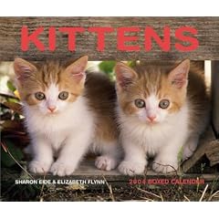 Kittens Boxed Calendar: 2004