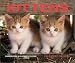 Kittens 2004 Calendar