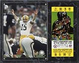 Bart Starr Green Bay Packers 12x15 Super Bowl II Plaque with Replica Ticket