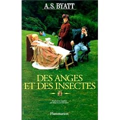 Des anges et des insectes