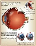 Eye Disorders Subject Art Poster Print, 17x22